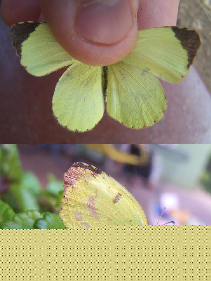 FIGURE 2 FIGURE 2